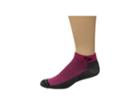 Drymax Sport Lite Trail Running Mini Crew 3-pack (october Pink/anthracite) Crew Cut Socks Shoes