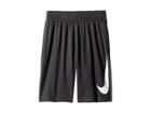 Nike Kids Dry Basketball Short (little Kids/big Kids) (anthracite/equator Blue/white) Boy's Shorts