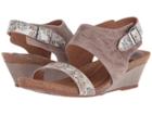 Sofft Vanita (mist Grey/grey Flower Oyster/virginia) Women's Wedge Shoes