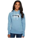 The North Face Half Dome Hoodie (provincial Blue/high Rise Grey Multi) Women's Sweatshirt