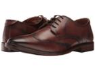 Steve Madden Shaww (cognac) Men's Lace Up Casual Shoes
