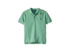 Polo Ralph Lauren Kids Cotton Mesh Polo Shirt(little Kids/big Kids) (haven Green) Boy's Clothing