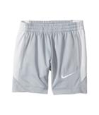 Nike Kids Avalanche Short (toddler) (wolf Grey) Boy's Shorts