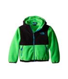 The North Face Kids Denali Hoodie (little Kids/big Kids) (recycled Krypton Green (prior Season)) Boy's Sweatshirt