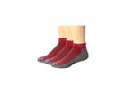 Drymax Sport Running Mini Crew 3-pack (torrid Red/anthracite) Crew Cut Socks Shoes