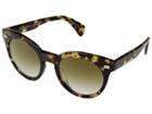 Oliver Peoples Dore (hickory Tortoise/bronze Flash Gradient Mirror) Fashion Sunglasses