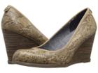 Dr. Scholl's Penelope (stucco Snake) Women's Shoes