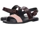 Tory Burch Delaney Flat Sandal (sea Shell Pink/malbec) Women's Shoes