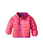 The North Face Kids Thermoball Jacket (infant) (cha Cha Pink (prior Season)) Kid's Coat
