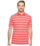 Under Armour Golf Coolswitch Bermuda Stripe (hollywood/rhino Gray) Men's Short Sleeve Knit