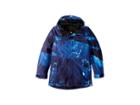 Burton Kids Gore-tex Stark Jacket (little Kids/big Kids) (nix Olympica) Boy's Coat