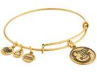 Alex And Ani Mlb(r) Baltimore Orioles Charm Bangle (rafaelian Gold Finish) Bracelet