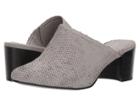 Volatile Basque (grey) Women's Clog/mule Shoes