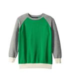 Toobydoo Baseball Sweater (toddler/little Kids/big Kids) (green/grey) Boy's Sweater