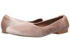 Bernardo Dina (blush Velvet) Women's Flat Shoes