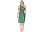 Bardot Eve Lace Dress (wild Green) Women's Dress