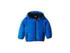 Nike Kids Quilted Jacket (toddler) (game Royal/black) Boy's Coat
