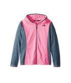 The North Face Kids Tech Glacier Full Zip Hoodie (little Kids/big Kids) (gem Pink/blue Wing Teal Heather) Girl's Sweatshirt
