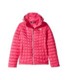 The North Face Kids Thermoball Hoodie (little Kids/big Kids) (petticoat Pink (prior Season)) Girl's Coat