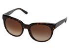Dkny 0dy4143 (dark Tortoise) Fashion Sunglasses