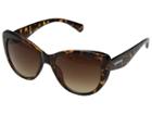 Steve Madden Sm889110 (black/burgundy) Fashion Sunglasses