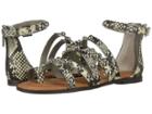 Circus By Sam Edelman Carla (cashmere Amazon Python) Women's Shoes