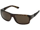 Timberland Tb7136 (dark Havana/brown) Fashion Sunglasses