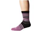 Thorlos Thorlo Stripes Thin Cushion Crew Single Pair (orchid/black) Crew Cut Socks Shoes