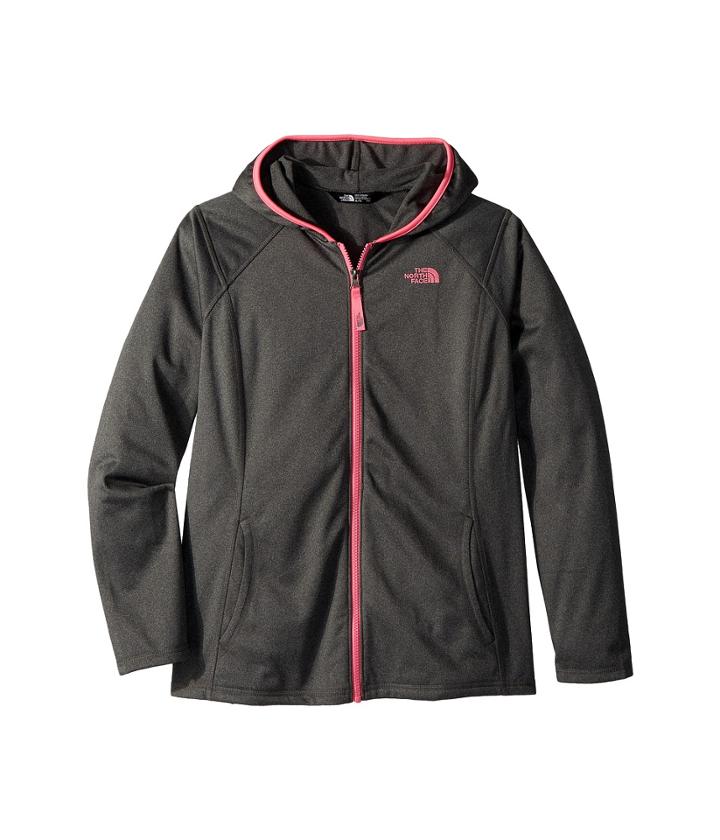 The North Face Kids Tech Glacier Full Zip Hoodie (little Kids/big Kids) (tnf Medium Grey Heather/blue Wing Teal/gem Pink) Girl's Sweatshirt