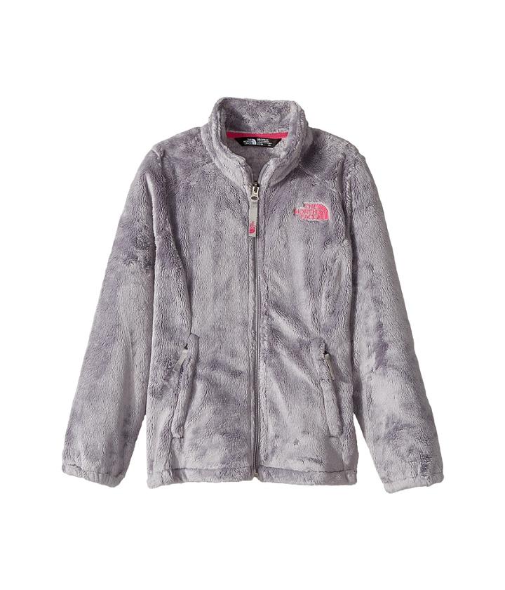 The North Face Kids Osolita Jacket (little Kids/big Kids) (metallic Silver (prior Season)) Girl's Coat