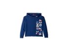 Tommy Hilfiger Kids Popover Hoodie (big Kids) (flag Blue) Girl's Sweatshirt