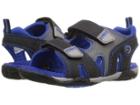 Pediped Navigator Flex (toddler/little Kid) (black/king Blue) Boys Shoes