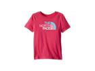 The North Face Kids Short Sleeve Graphic Tee (toddler) (petticoat Pink) Girl's T Shirt