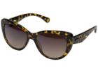 Steve Madden Cristin (tortoise) Fashion Sunglasses