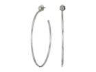 French Connection Stone Post Hoop Earrings (rhodium) Earring