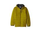 Columbia Kids Powder Litetm Puffer (little Kids/big Kids) (python Green/grill) Boy's Coat