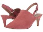 Tahari Gayle (champagne Rose Suede) Women's Shoes