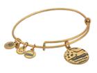 Alex And Ani One Nation Bangle (rafaelian Gold) Bracelet
