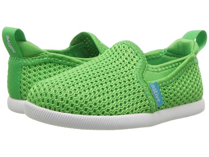 Native Kids Shoes Cruz (toddler/little Kid) (grasshopper Green/shell White) Kids Shoes
