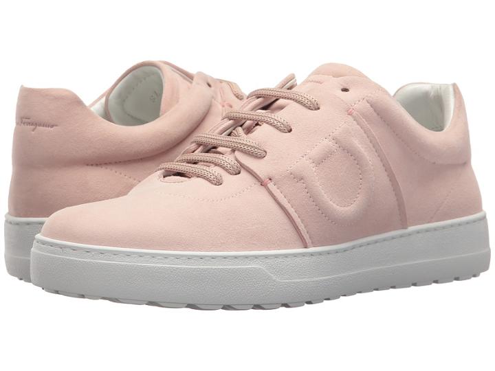 Salvatore Ferragamo Fasano (bon Bon Suede Kid Ro) Women's Lace Up Casual Shoes