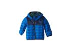 The North Face Kids Thermoball Hoodie (infant) (turkish Sea/cosmic Blue(prior Season)) Kid's Coat