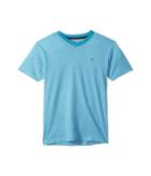 Tommy Hilfiger Kids Cole Short Sleeve Tee (big Kids) (blue Moon) Boy's T Shirt