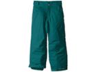Columbia Kids Starchaser Peaktm Ii Pants (toddler) (emerald) Kid's Casual Pants