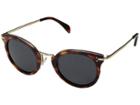 Celine Cl41053s (brown/grey) Fashion Sunglasses