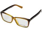 Michael Kors 0mk4038f (plastic Brown Clear) Fashion Sunglasses