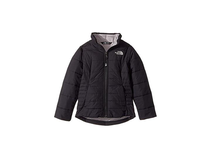 The North Face Kids All Season Insulated Jacket (little Kids/big Kids) (tnf Black/metallic Silver) Girl's Coat