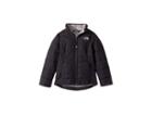 The North Face Kids All Season Insulated Jacket (little Kids/big Kids) (tnf Black/metallic Silver) Girl's Coat