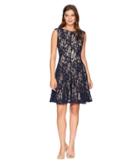 Gabby Skye Lace Seam Down Fit And Flare Dress (navy/nude) Women's Dress