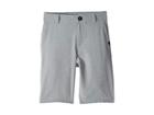 Quiksilver Kids Union Nep Amphibian Shorts (toddler/little Kids) (sleet) Boy's Shorts
