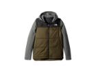 The North Face Kids Gordon Lyons Vesty Vest (little Kids/big Kids) (new Taupe Green) Girl's Vest